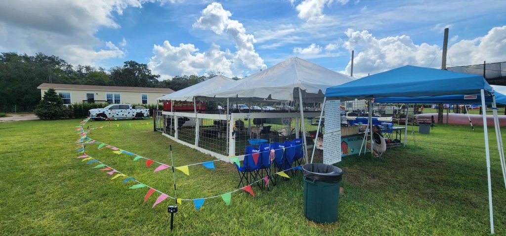 Bella’s Little Farm Joins Southern Hill Farms’ 10th Annual Fall Festival in Clermont, Florida
